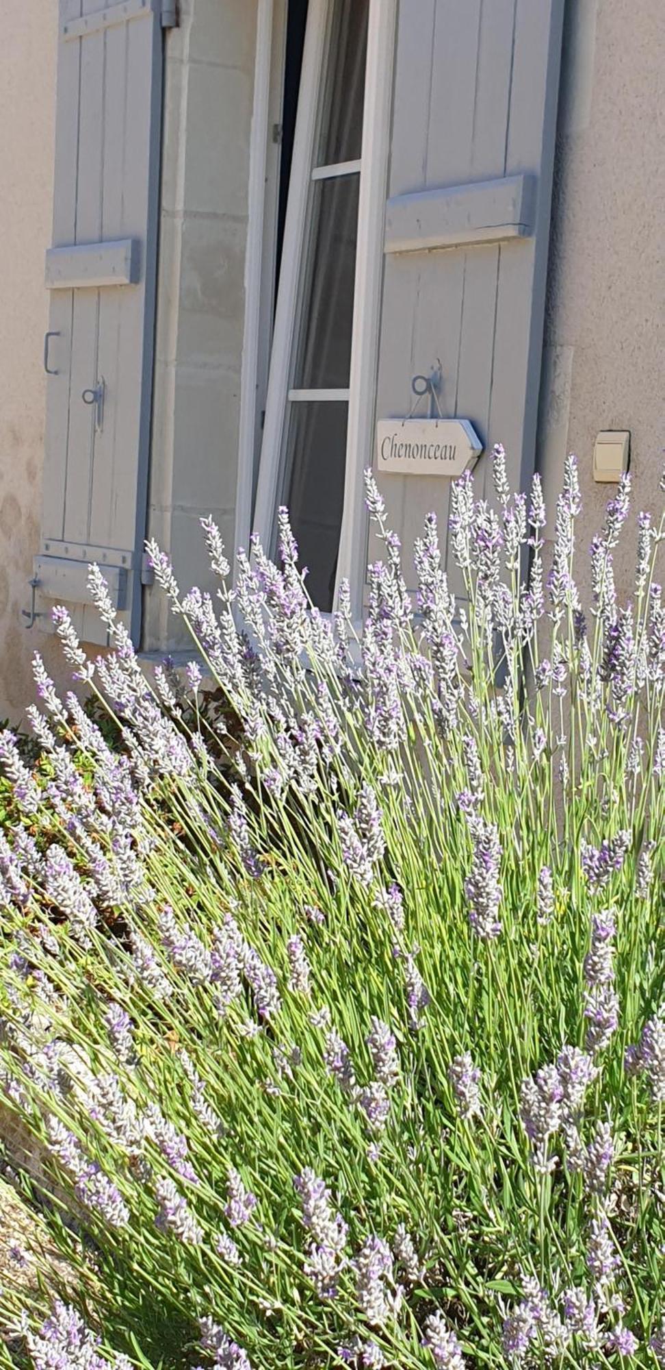 Le Clos De La Rousseliere Francueil Rom bilde